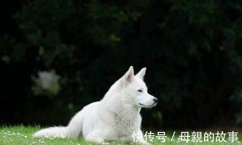 产妇|俗话说,有福之人春秋生,无福之人夏冬生,你听说过吗