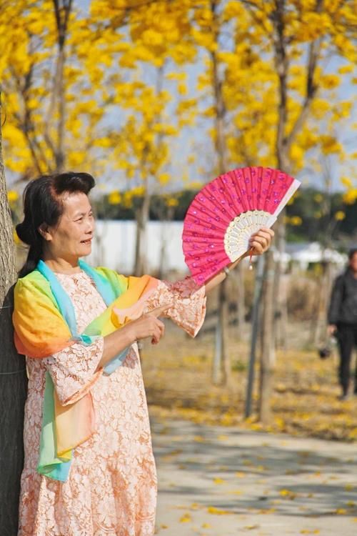 太美了！石楼附近惊现千米金色花海，黄花风铃木刷屏了！