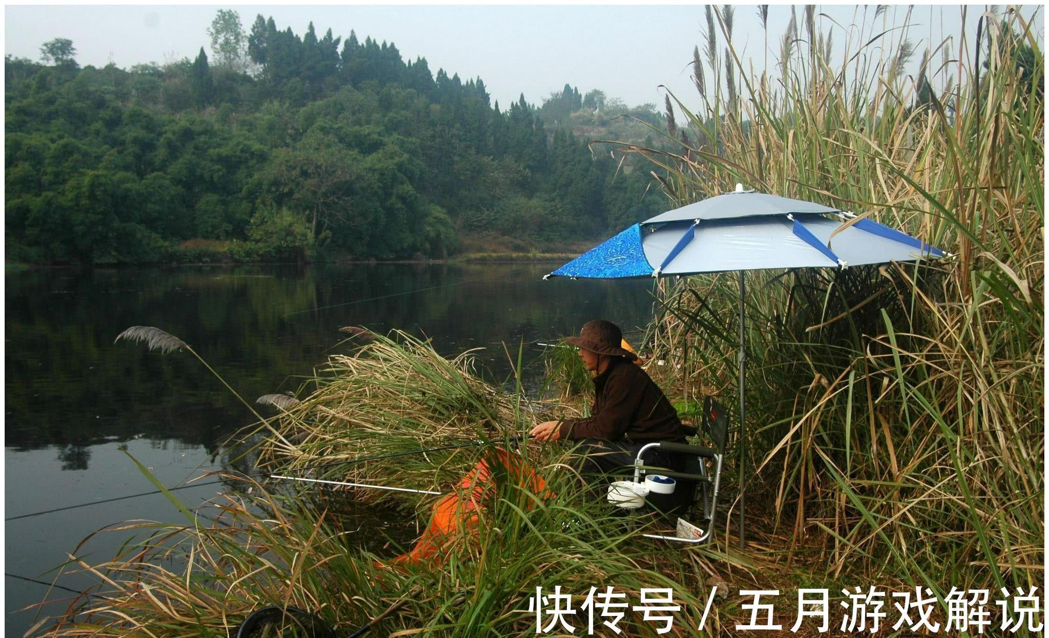 野钓|冬季野钓，你得会钓草，这三个有草的位置，草底下都是鱼