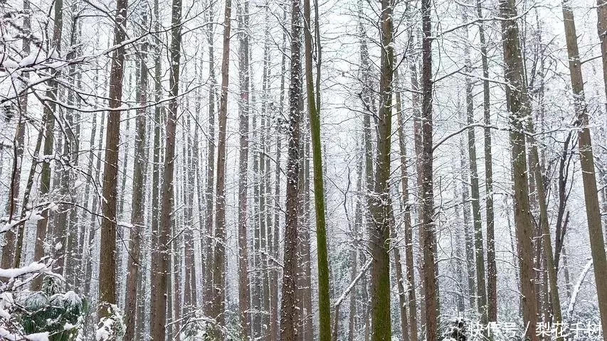 有一种雪，只属于中国，下在了江南