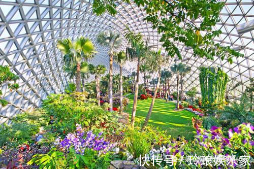 做一枚植物系青年到底有多快乐跟着小编去养养眼吧!