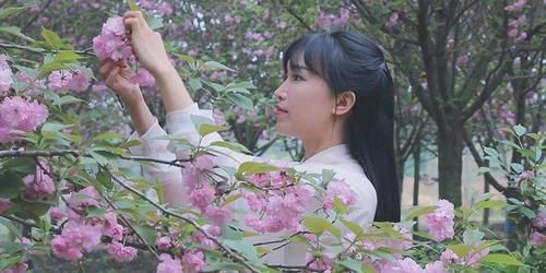 众人|李子柒三怼记者，为何众人会纷纷叫好？
