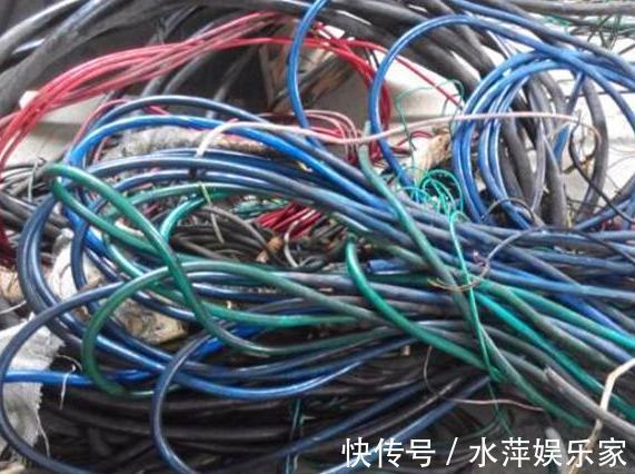 电线|家中的“旧电线”别乱丢,往盆里埋一点,花卉都喜欢,爆盆不止!