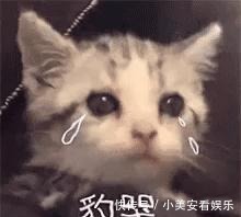 刘耀文|丁程鑫张真源“开”出了宋亚轩刘耀文