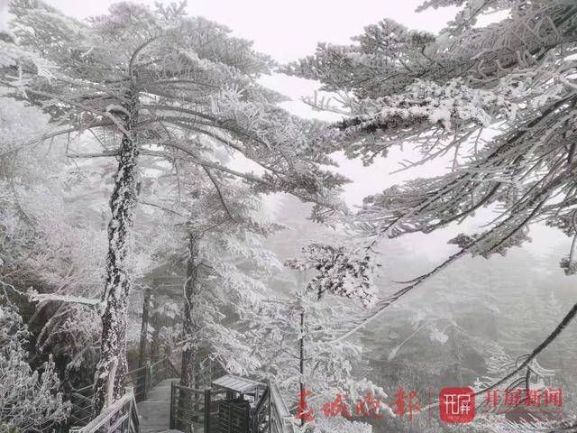 昆明轿子雪山下雪啦！银装素裹，美不胜收……