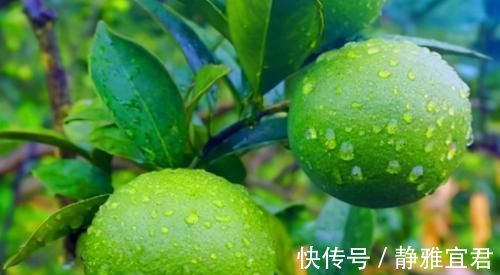 维c|长寿老人爱吃3种食物,补充营养、延缓衰老,早吃早受益!