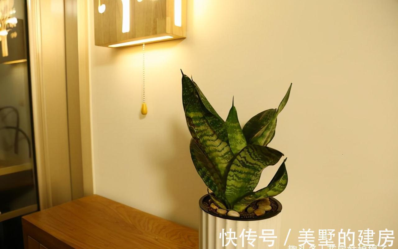 这6种花就得“懒养”,要“多光照、多通风、少浇水”,才长得旺