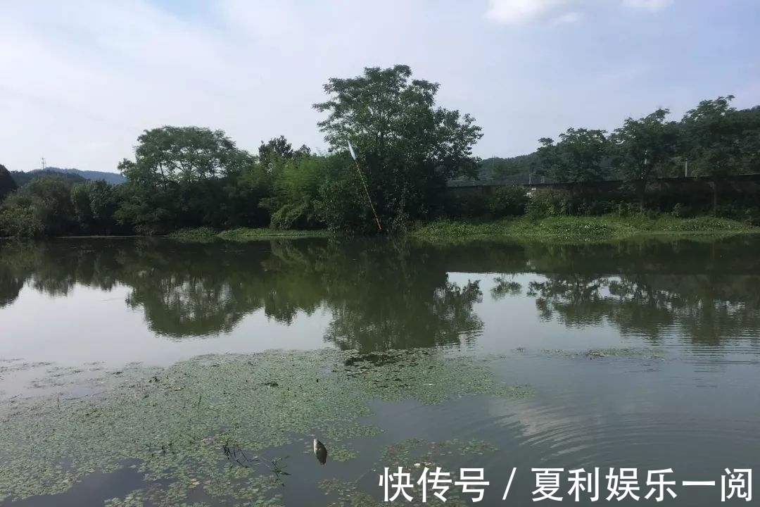 冬钓鲫鱼7个常见问题,早知道答案,也不会三天两头空军了