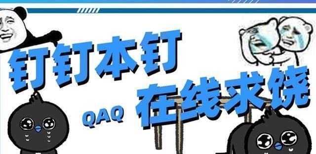 钉娘|当二次元侵入现实世界，喵剑客太帅，钉娘统领“网课大军”