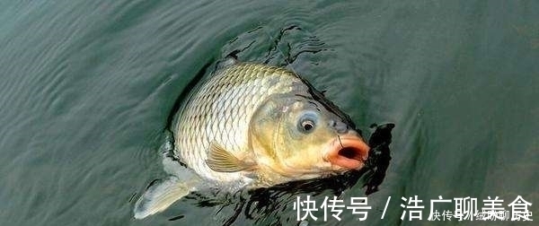 野钓时,为何你总钓不到大鱼?老钓友只重视这2点,新手却常忽视