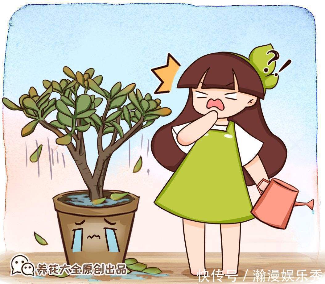硬度|教你一些浇水的方法,从此浇花不再盲目,花长得又快又旺!