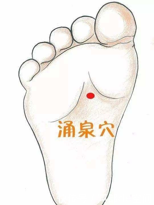 悄悄|身体上有两个“减压”区,每天随手敲打5分钟,血压悄悄平稳