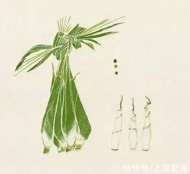 不溶性|蔬菜界的“水中参”，吃它好处多