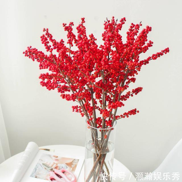 13种“昂贵花”,开花魅力无穷,可价格太高,养得起的人非富即贵