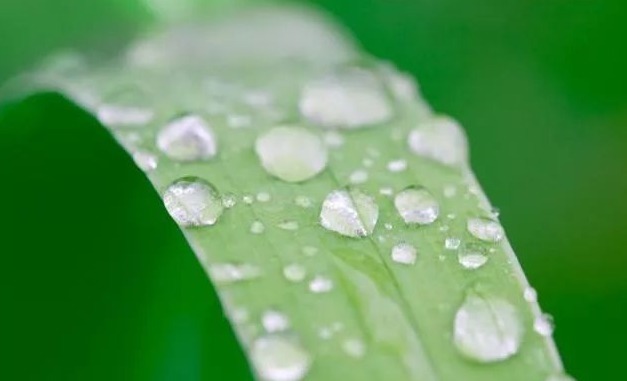 百会穴|头顶上有个“祛湿穴”,每天一按,排湿气,健脾胃,失眠改善了