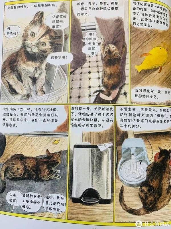 猫生|爆笑治愈的猫生漫画,你不是猫,你怎么知道猫怎么想?
