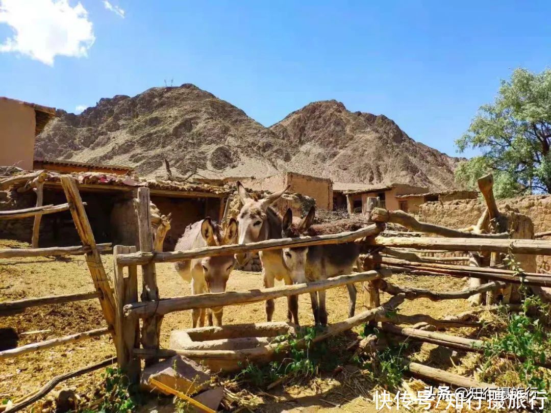 宁夏中卫-《山海情》拍摄取景地，大漠孤烟直长河落日圆旅行攻略