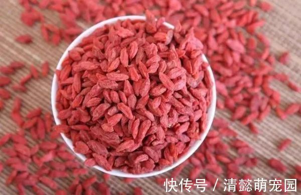 排毒|蒲公英,被称为“药草皇后”,请记住“6功效、7搭配、8禁忌”