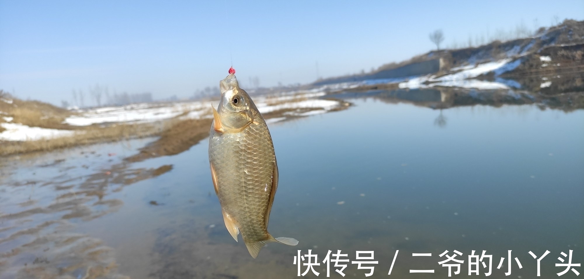 钓友|冬季鲫鱼都往深水跑，掌握这几种技巧，冬季也能连竿上鱼