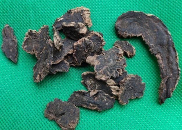 莲子|每天喝一碗益寿养心粥，大补气血，养心护心，心脏更健康