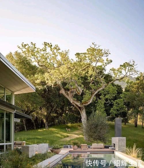 泳池|山中造个别墅,院中百年古树,庭院、壁炉、泳池,奢侈生活美如画