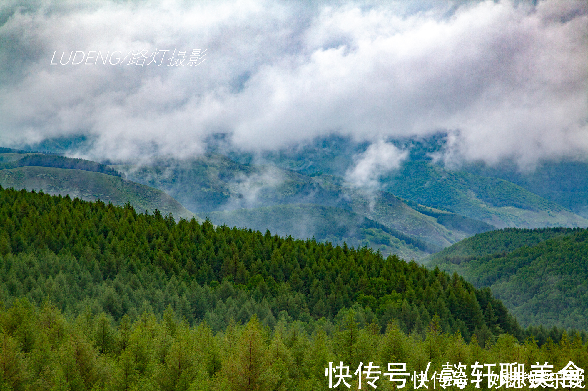 夏天|推荐！中国夏天最美的避暑地，绿荫如海，云淡风轻，好像住在画里