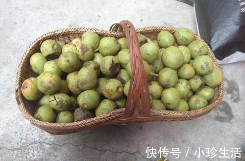 栗子粥|经常失眠吃点它,胜过“安眠药”,从此远离失眠,睡得香!