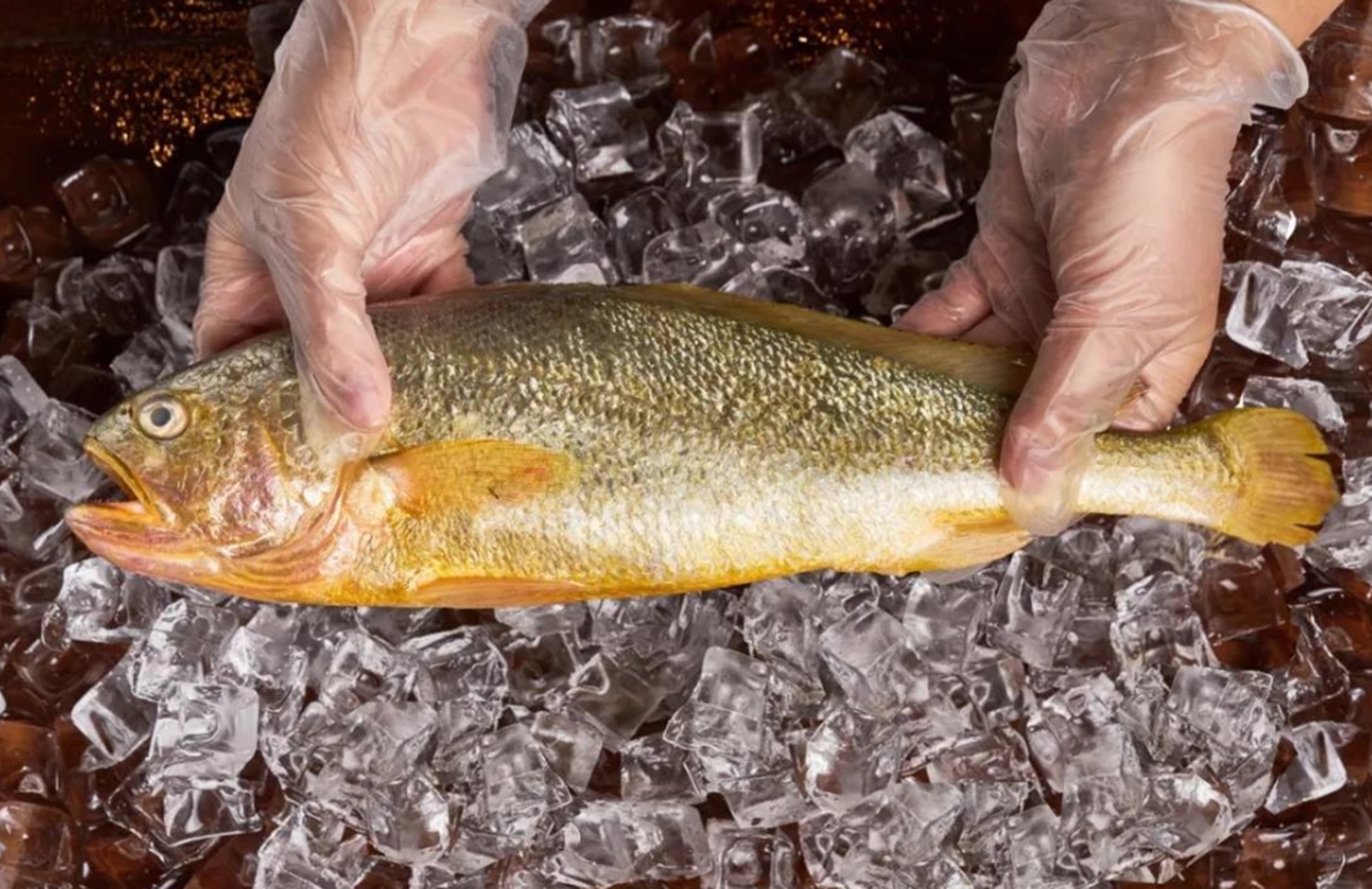 做鱼时,去腥加酒加醋是大错特错!教你最好吃做法,上桌就扫光