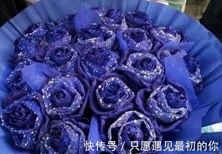 新手养花，不如养盆花中精品“蓝色妖姬”，花中新宠，气质端庄