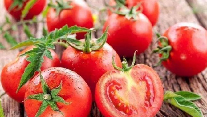 忠告西紅柿的“死對頭”,兩者同時吃,相當于慢性中毒