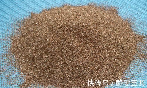 横切面|发财树烂根了怎么办？用小方法来试试，半月就生根