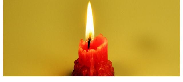 检验|21个冷知识：乍看之下好像不该存在，但其实经过检验的有趣事实