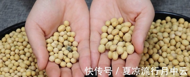 区别|没人告诉你转基因与非转基因大豆的区别，我给你看，教你怎样辨别！