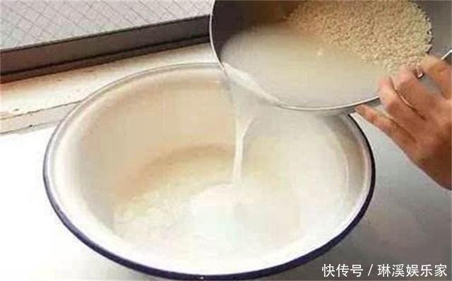 长枝|养绿萝,3种“万能肥”抵过正规肥,叶子绿的像刷漆,再也不黄叶