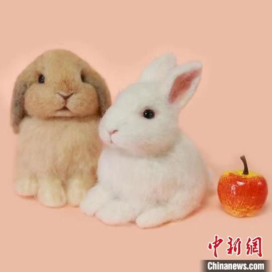 羊毛毡|通讯：四川手工艺人用羊毛“复活”宠爱、带去温暖