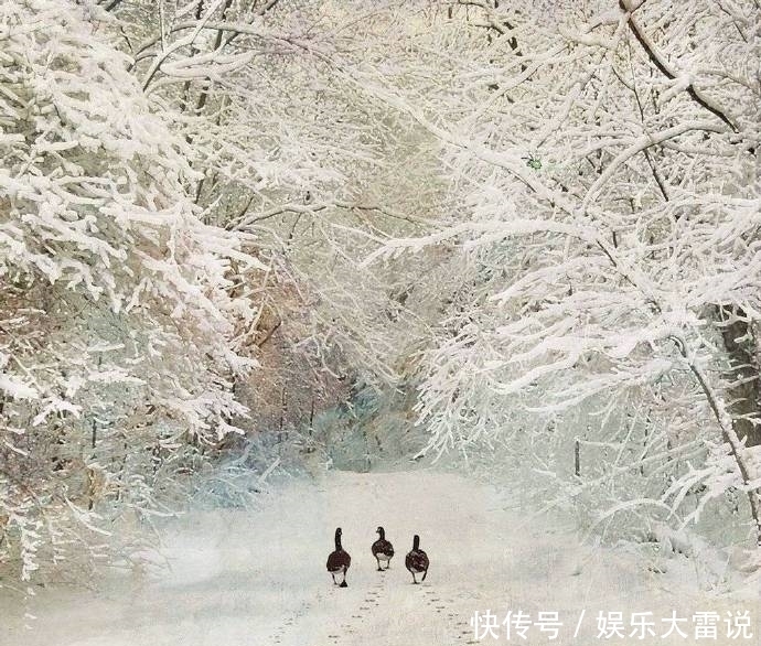  风格|画师笔下的雪中精灵，治愈系风格！