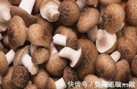 肠炎|香菇好吃营养,但医生提醒,这五种人一口都不能吃,有的赶紧改掉