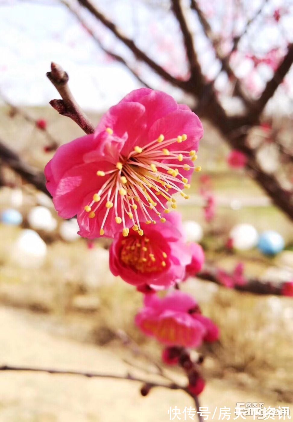 新动态|请查收从大连旅顺口热门楼盘现场传来多张谍照（组图）