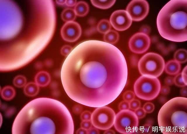 精子|如果卵子没遇到精子，那么排出的“卵子”去了哪里害羞也看完