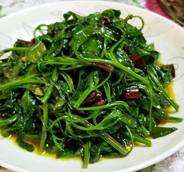 这种野草真有用,是医疗上的好帮手,能为身体补充能量!