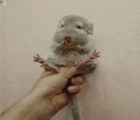 |搞笑GIF趣图:这都不分手,那就是真爱了