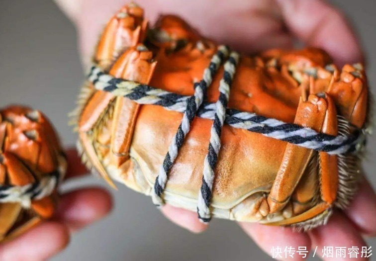 腹部|蒸螃蟹,用冷水还是热水?老渔民教你一招,不掉腿不流黄,没腥味