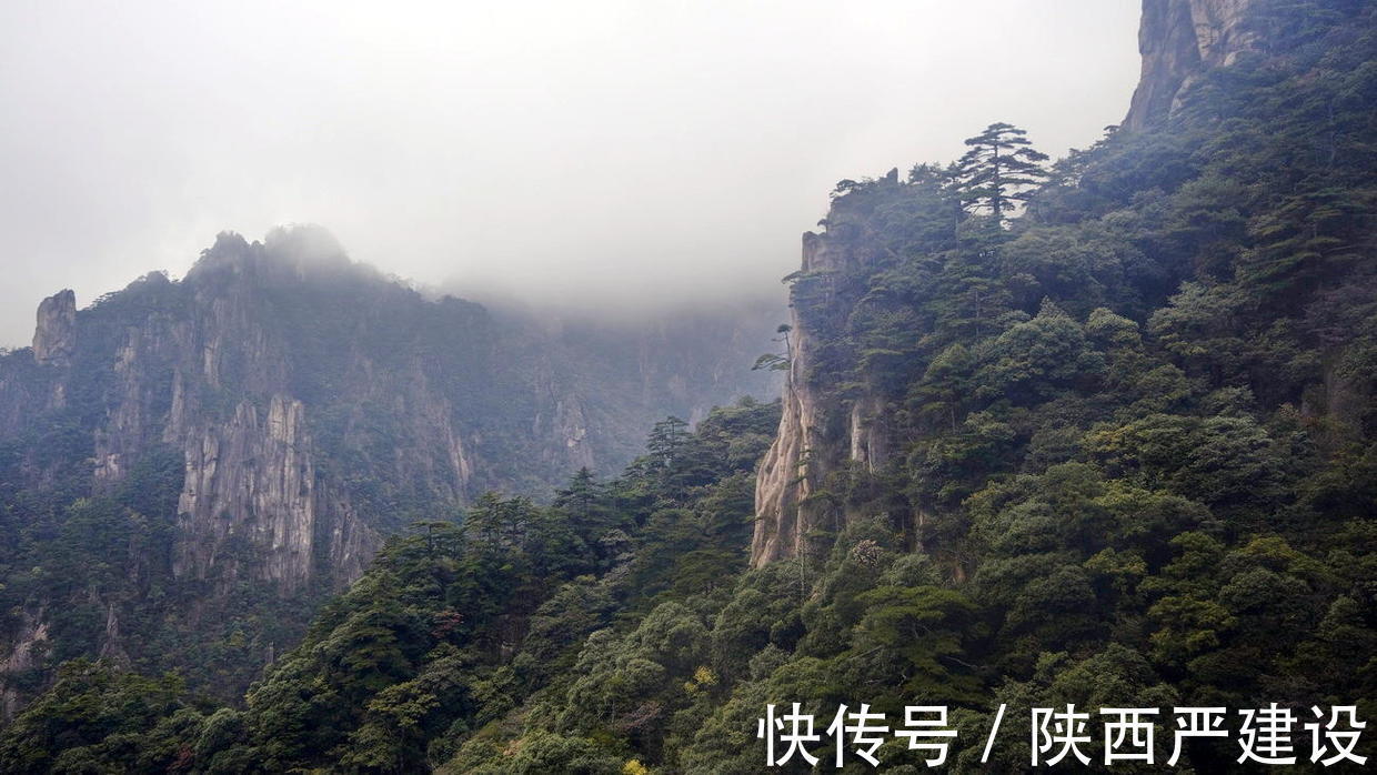 黄山|薄云浓雾游黄山宛若仙境【严建设】