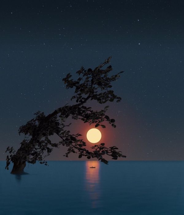 内控！哲思｜你的“心理韧性”，决定你的人生上限