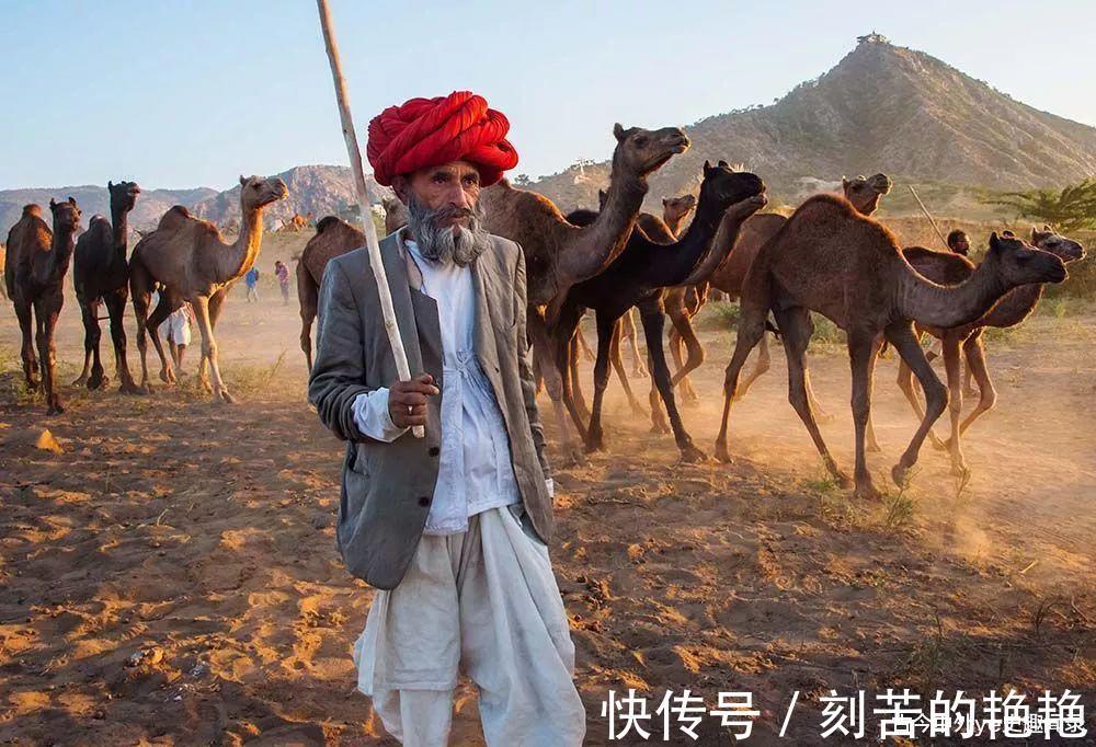 漫画|印度,巴基斯坦,孟加拉,尼泊尔到底啥关系漫画印度史为你揭秘