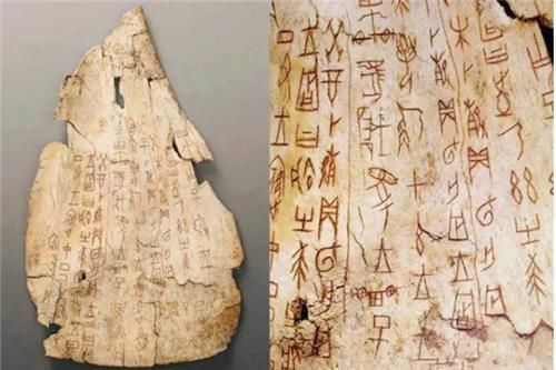 止血$古代一敷就能止血的“金疮药”,为何突然消失了?看原材料就懂了