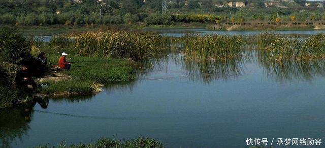 农村小伙钓鱼就是狠,这样打窝,钓鱼钓到手发软