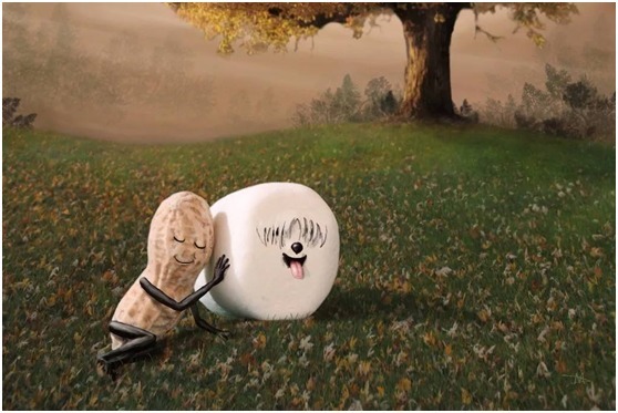 菠菜|真正补脑的食物不是核桃,而是此物!孩子要多吃,补脑益智更聪明