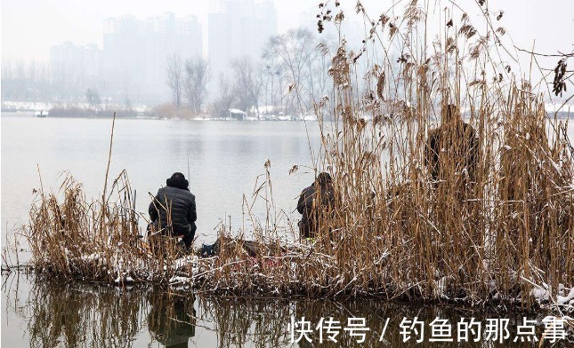 天一冷，大板鲫反而更好钓？实不相瞒，牢记了这几点，想空军都难