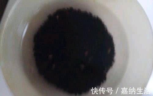 长生不老药|这种食物是白发的长生不老药它每吃三到五次又黑又亮又年轻